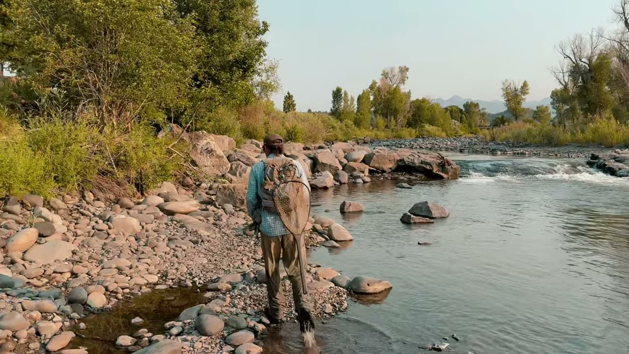 An angler fly fishing the San Juan River near Pagosa Springs